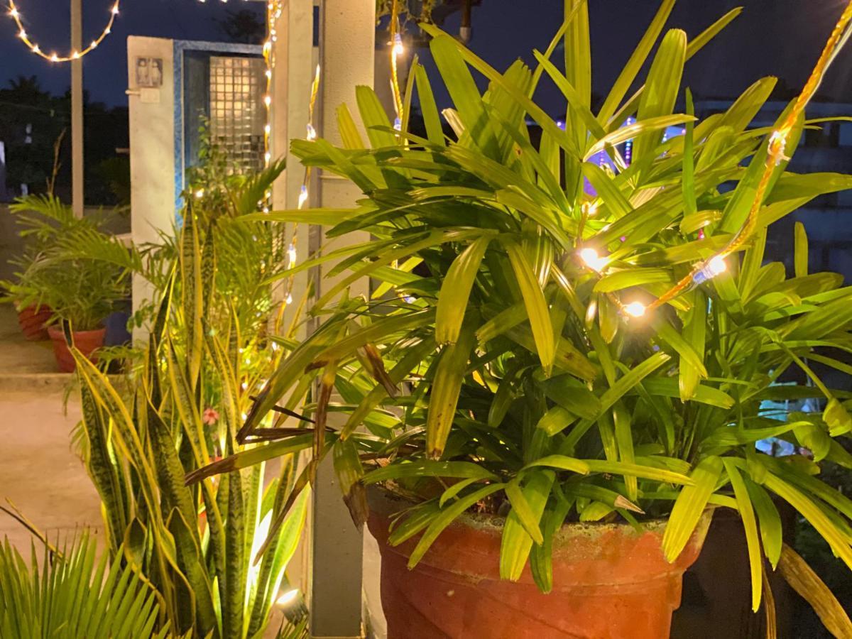La Paradise Residency 蓬蒂切里 外观 照片